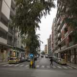 Viale Salandra poi incrocia con via Di Tullio, l� dove � presente l�ennesima stranezza di questo rione: un eucalipto che divide in due l�arteria, una sorta di spartitraffico naturale